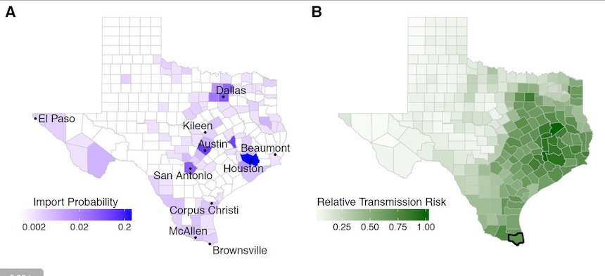 New Computer Model Assesses Risk of a Zika Epidemic in Real-Time