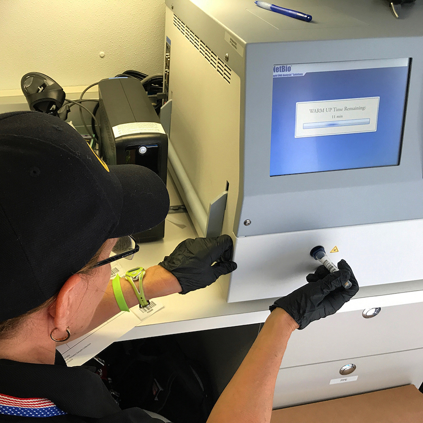 Rapid DNA Technology Verifies Relationships After Mass Casualty Events