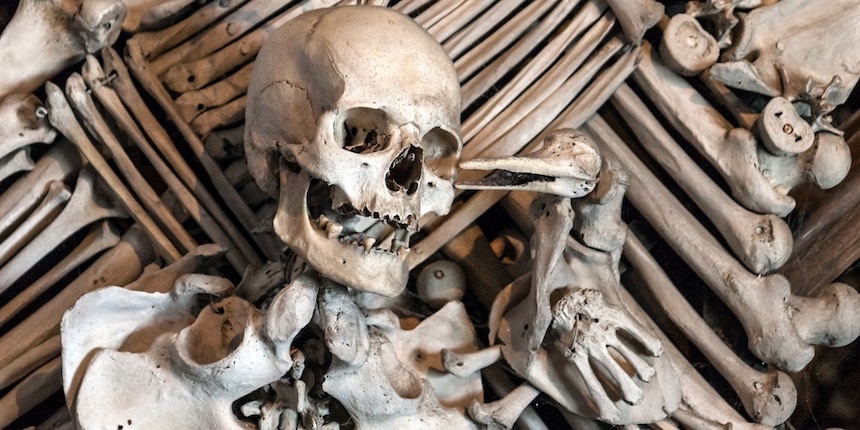 How Plague Attacks Us – and How We Should Defend Ourselves