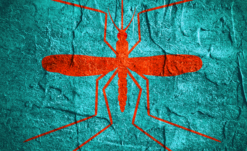 NIH Launches Prospective Study of Zika and HIV Co-Infection During Pregnancy