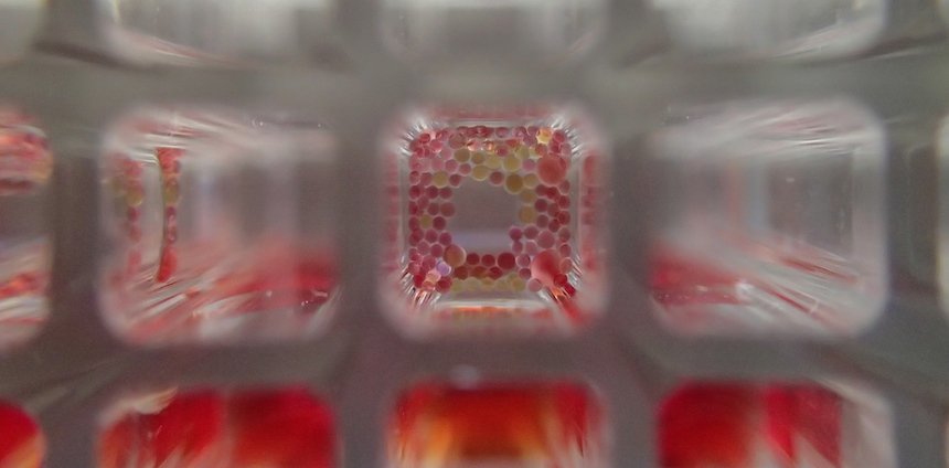 Tiny ‘Micro Drop’ Chemical Reactors Are Helping to Revolutionize Scientific Experiment