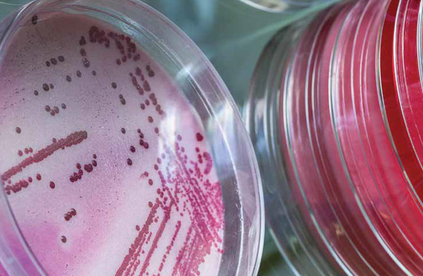 Harnessing AI to Catch Disease Fast