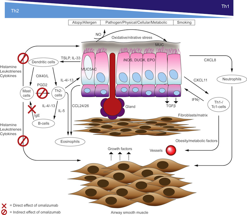 Omalizumab Improves Efficacy of Oral Immunotherapy for Multiple Food Allergies